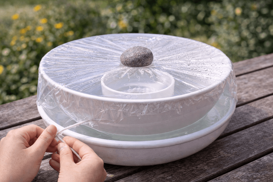 Experiment experimentieren - Der geheimnisvolle Wasserfänger