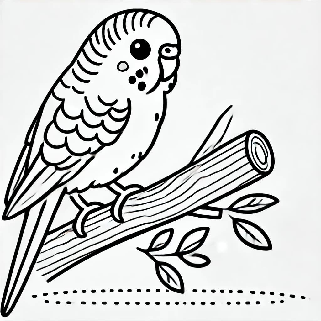 Ausmalbild - Wellensittich auf einem Ast - Wellensittich, Vogel, Ast, Blätter